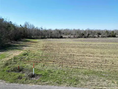 6.5 Acres for Homestead