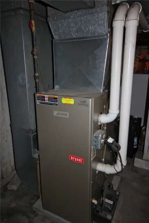 Picture 22
