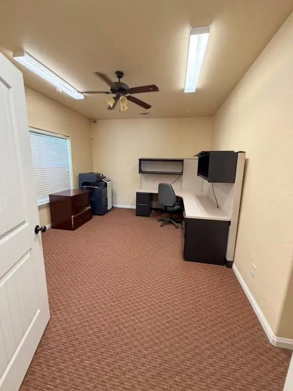 Picture 14
