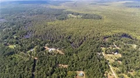 Secluded Recreational Land with Hardwoods