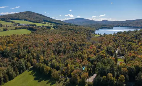 Wooded Corner Land