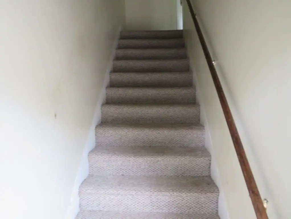 Picture 12