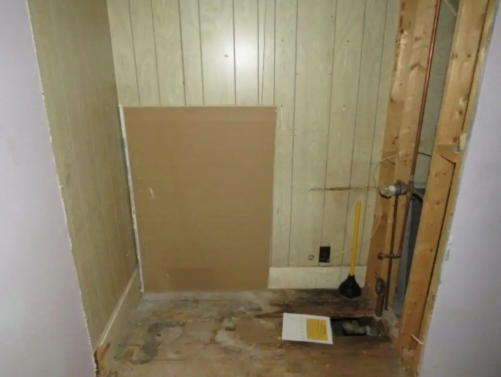Picture 11