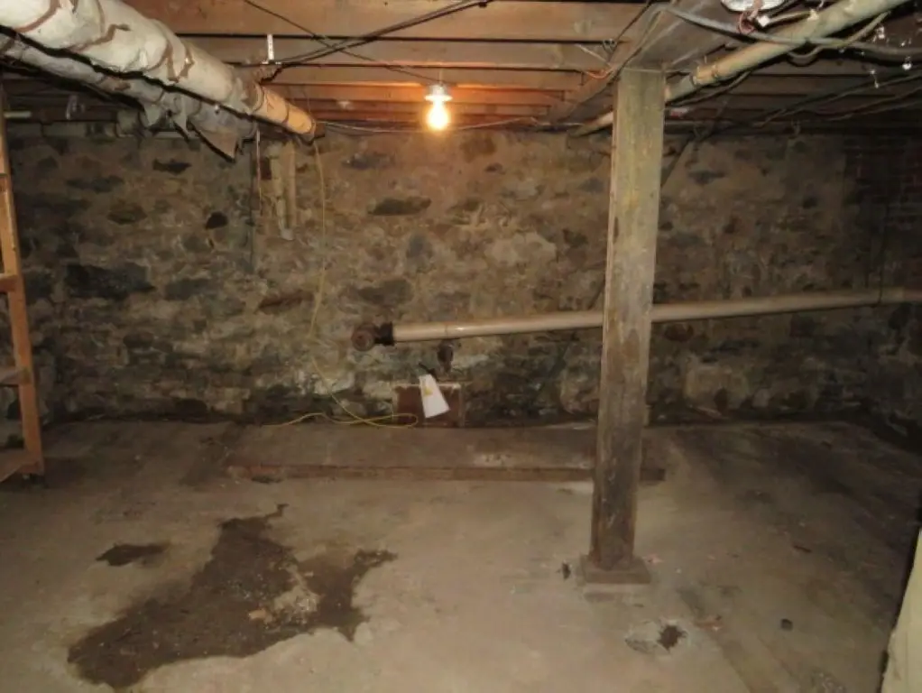 Picture 21