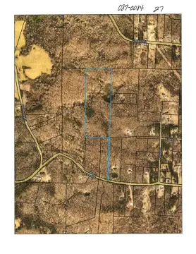 27 Acres on Hog Liver