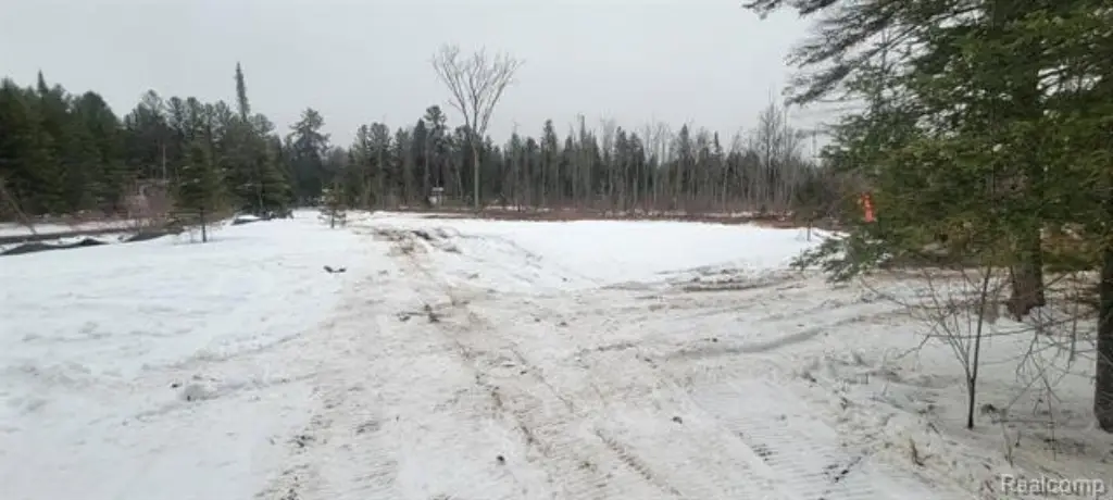 Picture 18