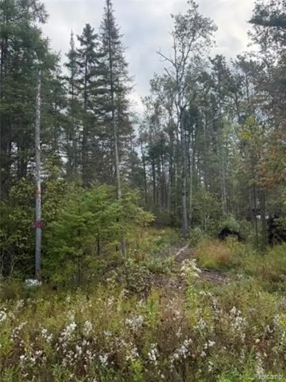 Picture 13