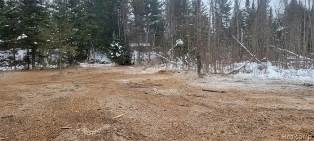 Picture 14