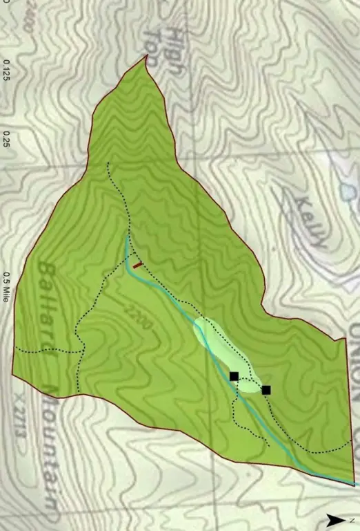 Picture 16