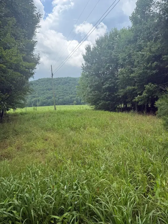 Picture 21