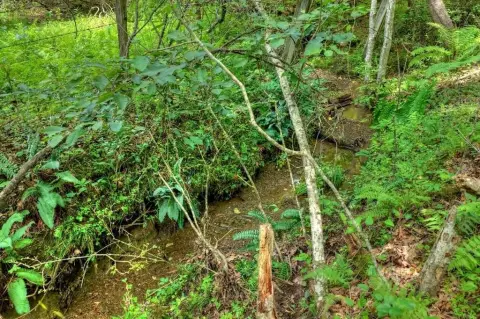 Unrestricted Land with Creek Frontage