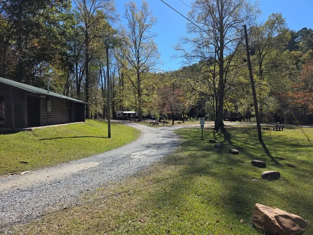 Picture 18