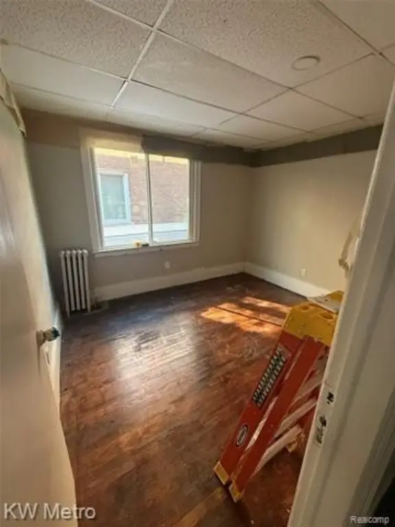 Picture 23