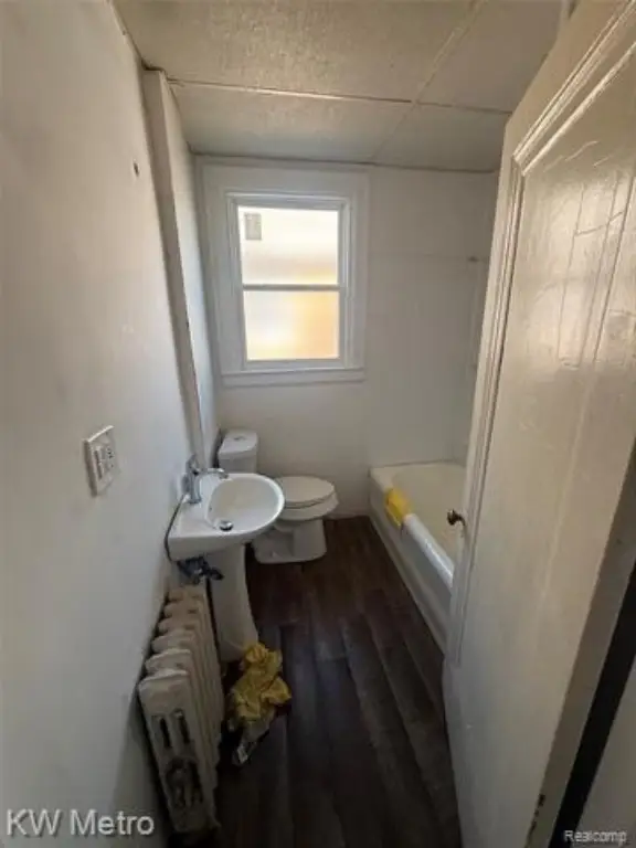 Picture 17