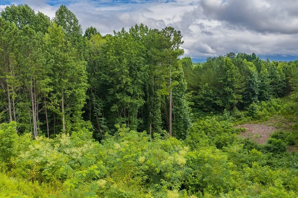 Picture 20