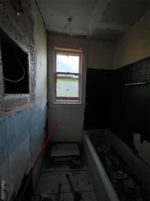 Picture 24