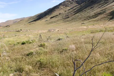 Pocatello Commercial Land For Sale