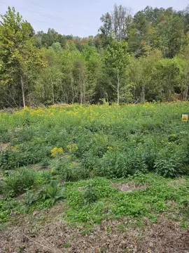 Residential Lot in South Point