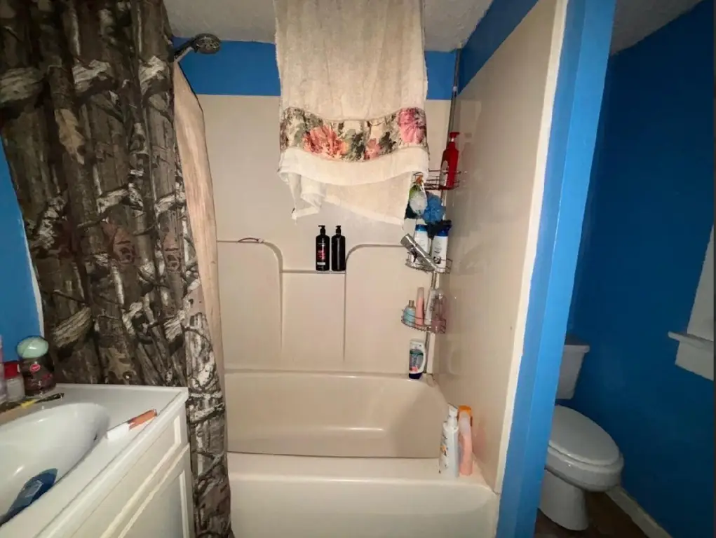 Picture 21