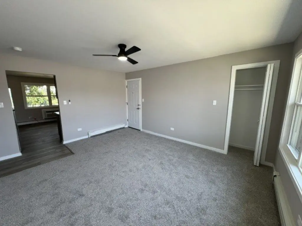 Picture 7