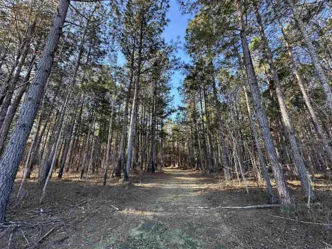 262 Acres in Salters, SC