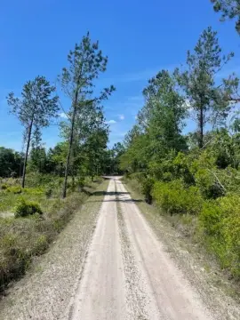 Vacant Land Near I-95
