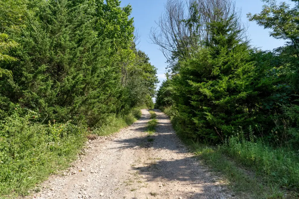 Picture 20