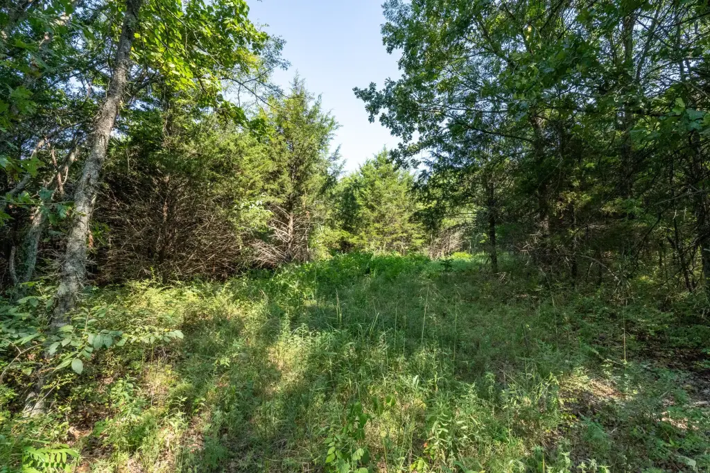 Picture 28