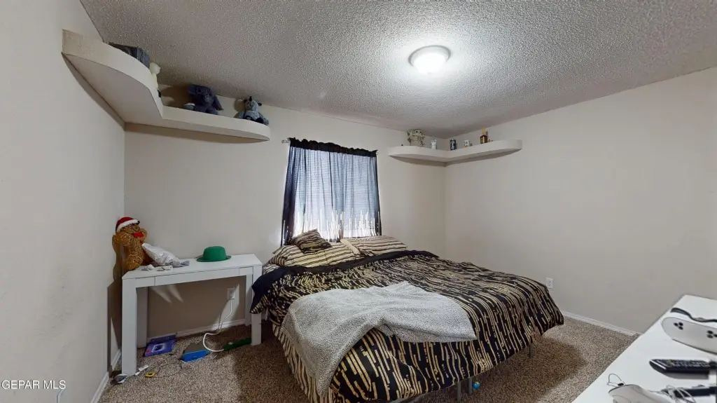 Picture 19