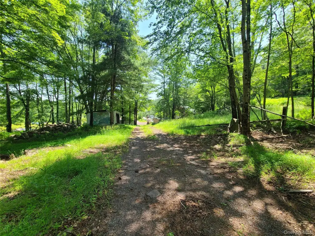 Picture 18
