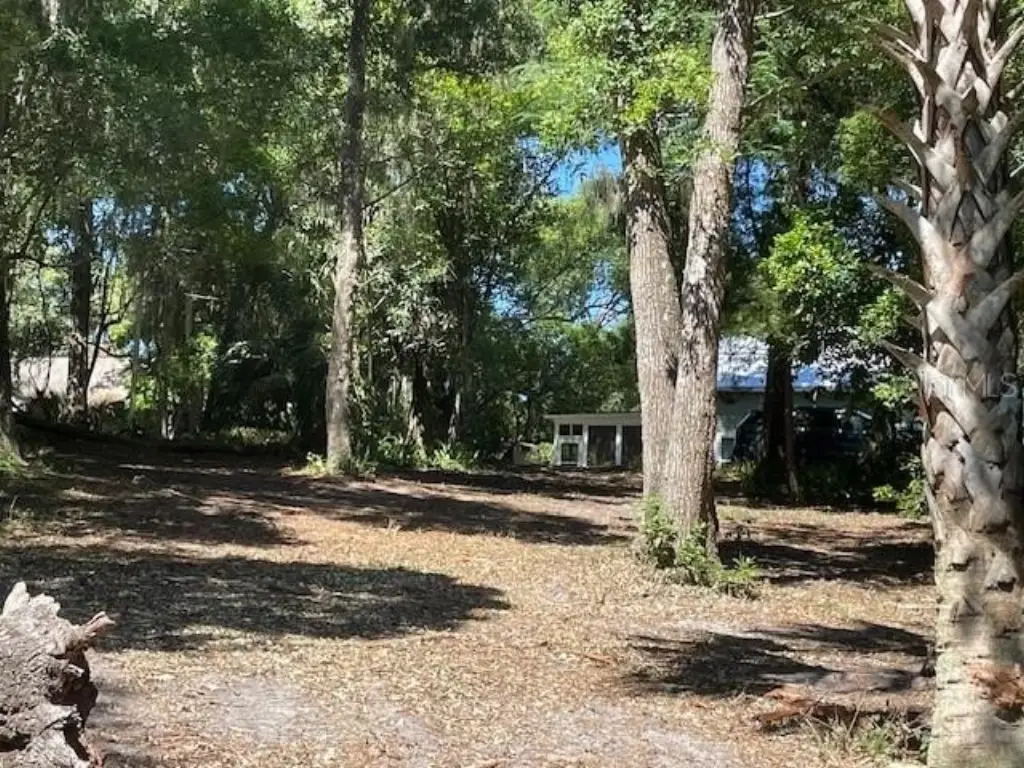 Picture 21