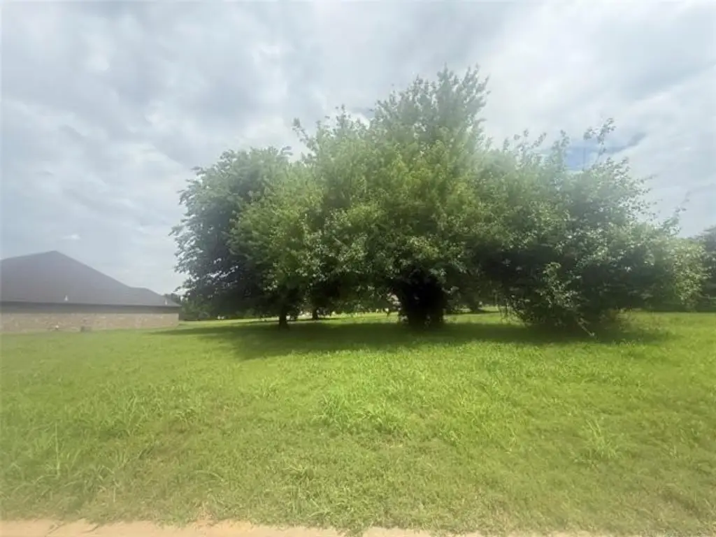 Picture 6