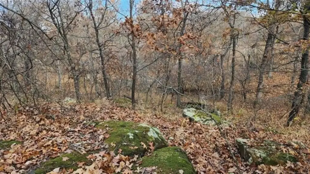 Picture 18