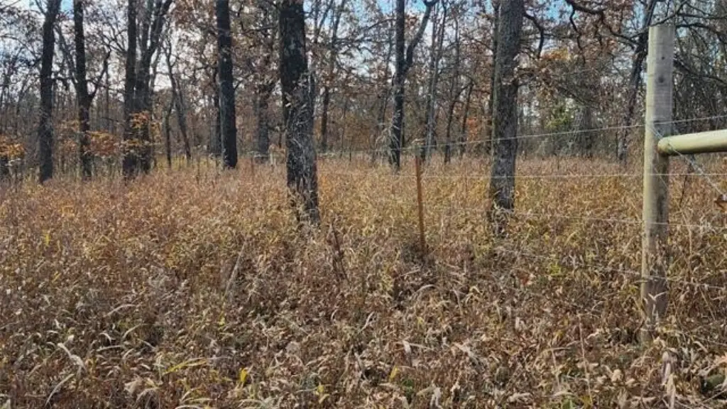 Picture 22