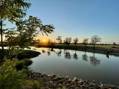 78.96 Acres of Open Land