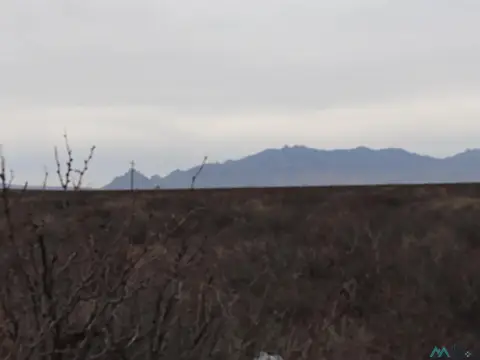 160 Acres of Open Land