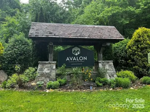 Waynesville Mountain Homesite in Avalon
