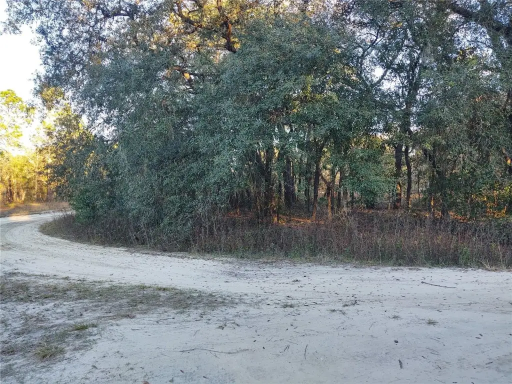 Picture 3