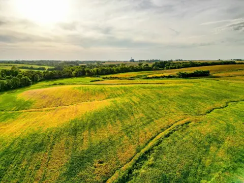 Productive Farmland Near Knoxville, Iowa