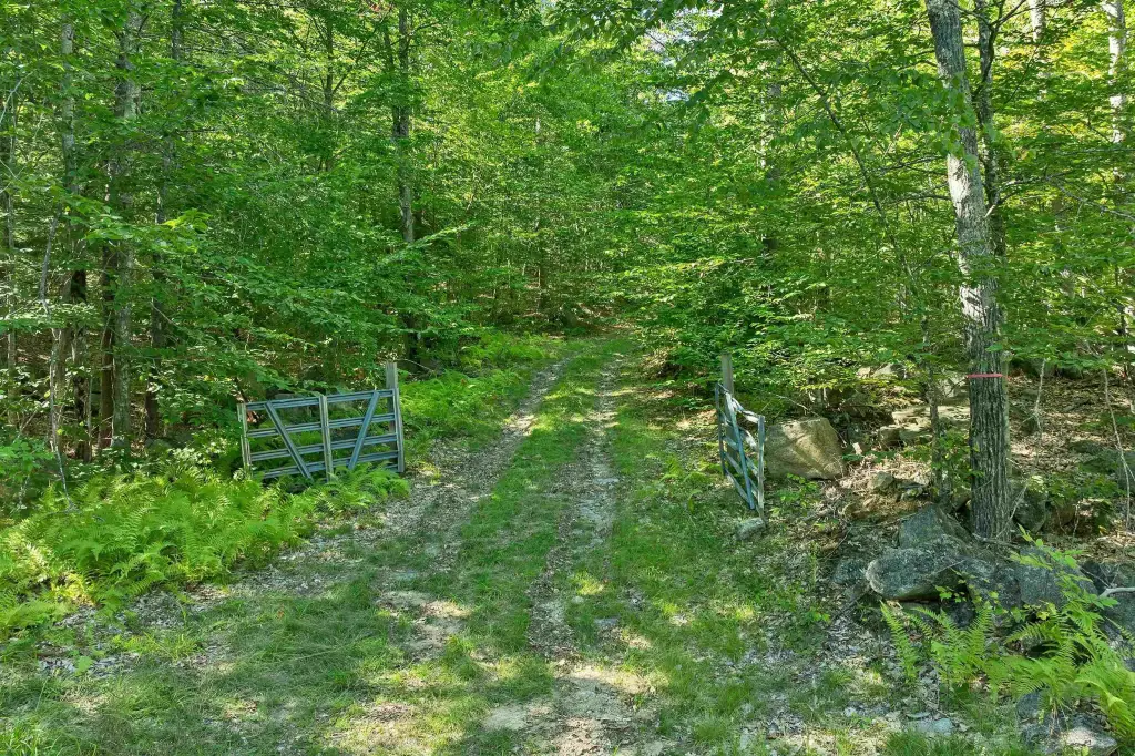 Picture 4