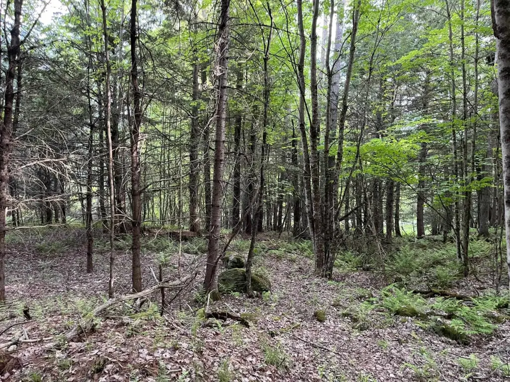 Picture 25