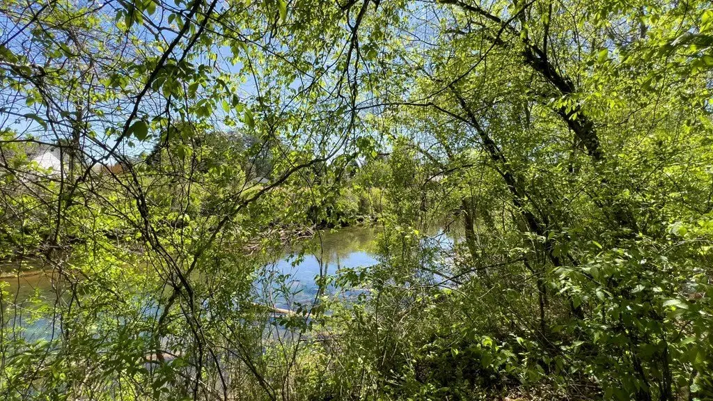 Picture 18