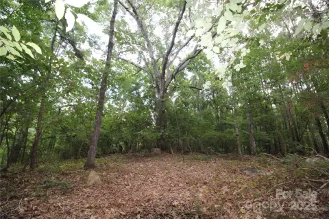 Wooded Lot in Rock Hill