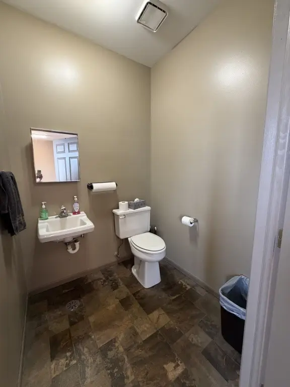 Picture 14