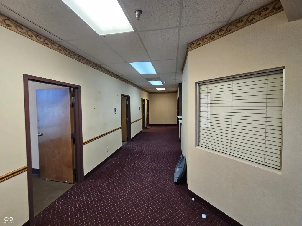 Picture 11