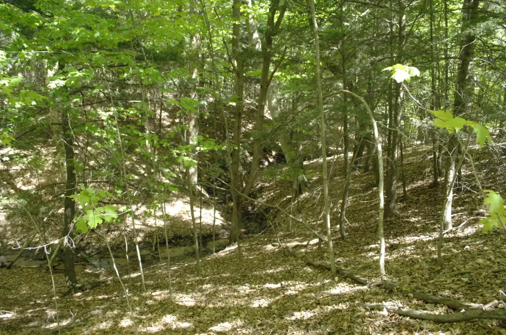 Picture 16