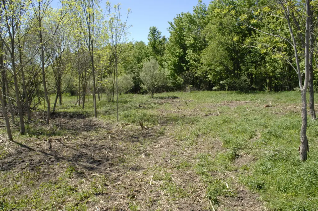 Picture 14