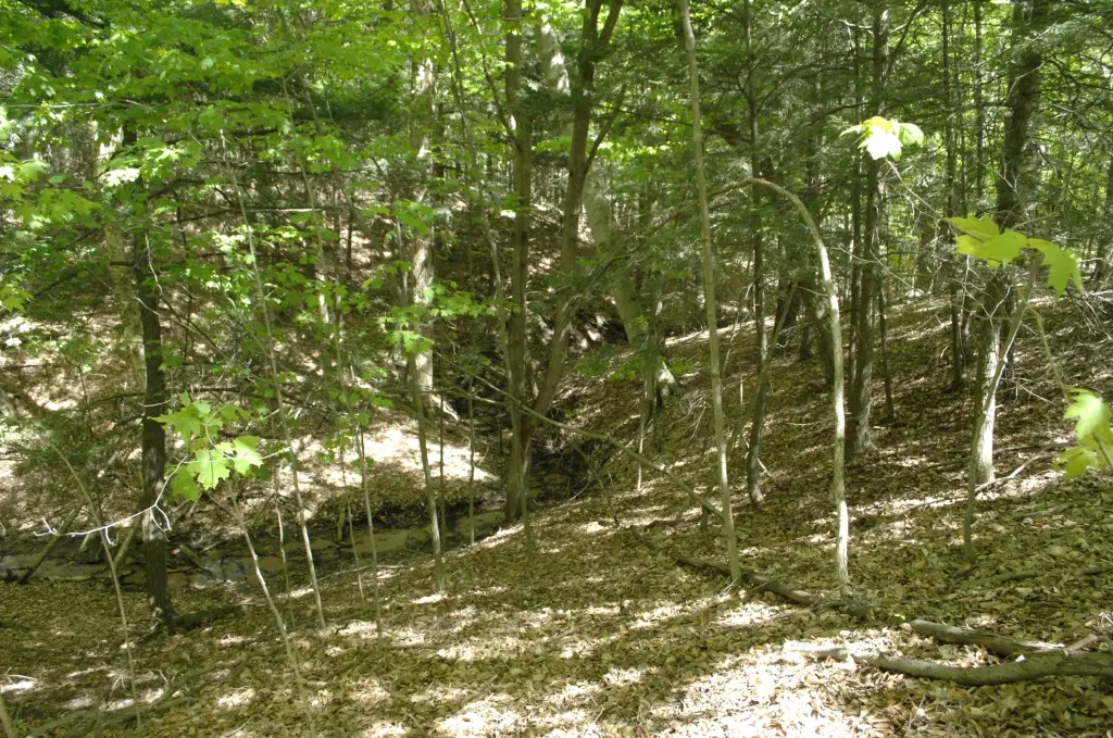 Picture 6