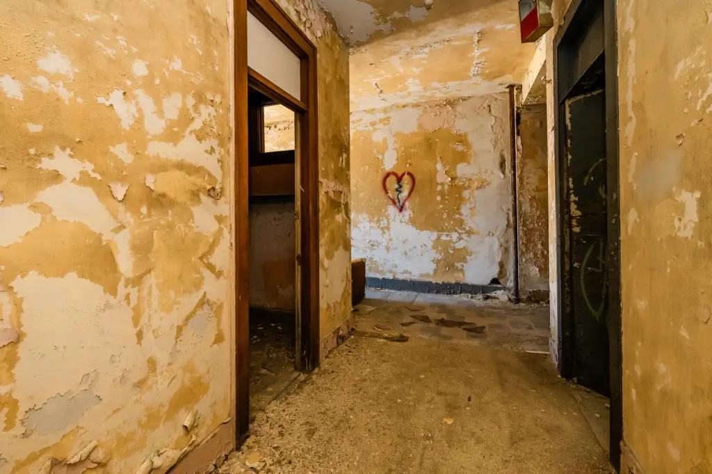 Picture 33