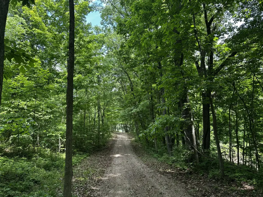 Picture 2